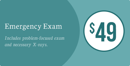 $49 Emergency Exam. Includes problem-focused exam and necessary X-rays.